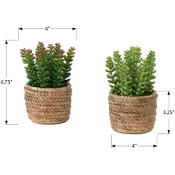 Monarch 7" Artificial Plant (Set of 2) GREEN Clearance