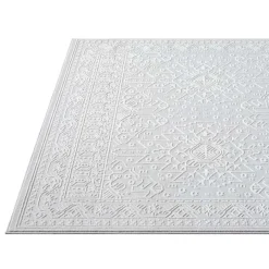 8 x 10 ft Rug Grey Hot