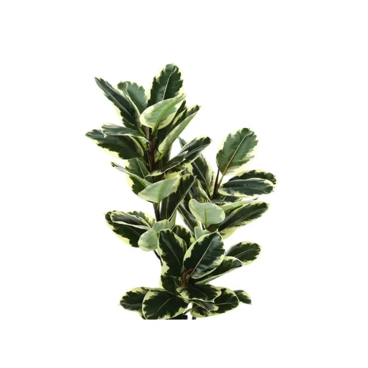 Monarch Artificial plant - 47"h / indoor oak tree in a 5" pot Green Hot