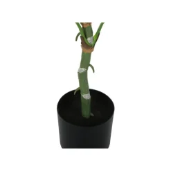 Monarch Artificial plant - 54