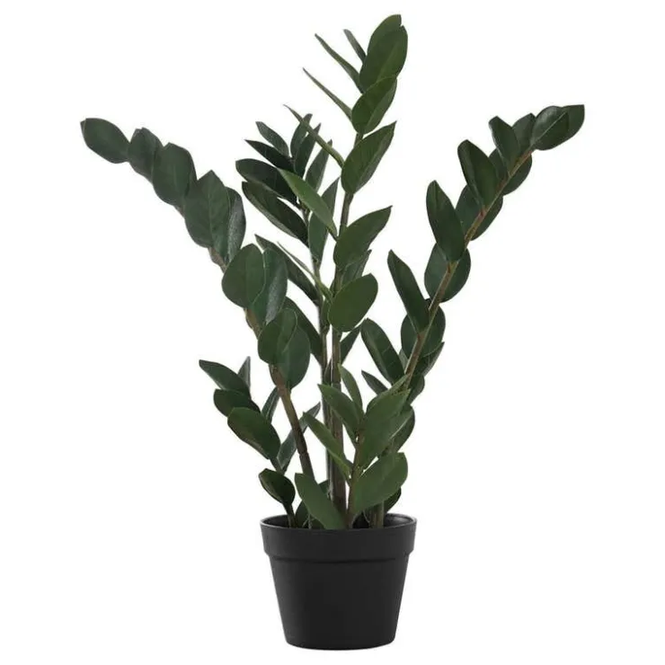 Monarch Artificial plant - 29"h / indoor zz in a 6" pot Green Outlet
