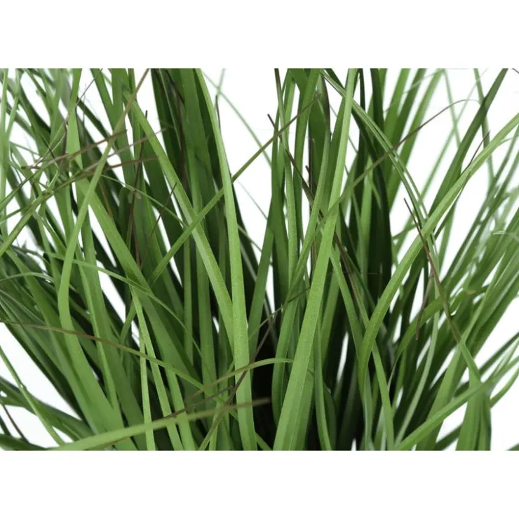 Monarch Artificial plant - 23"h / indoor grass in a 4" pot Green Clearance
