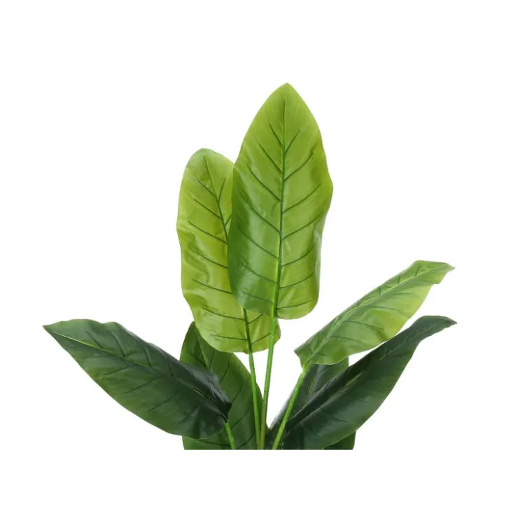 Monarch Artificial plant - 59"h / indoor strelitzia in a 5" pot Green Online