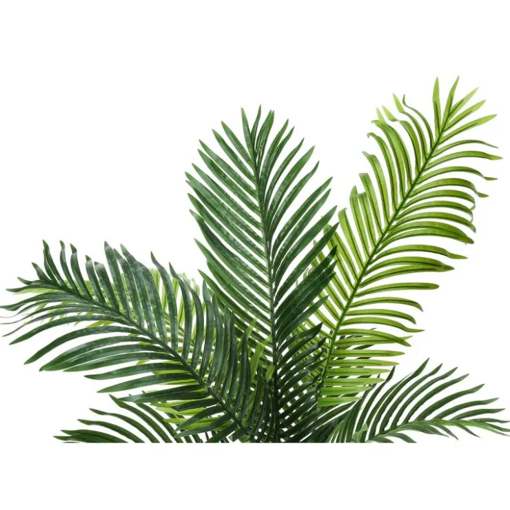 Monarch Artificial plant - 47"h / indoor palm tree in a 5" pot Green Best