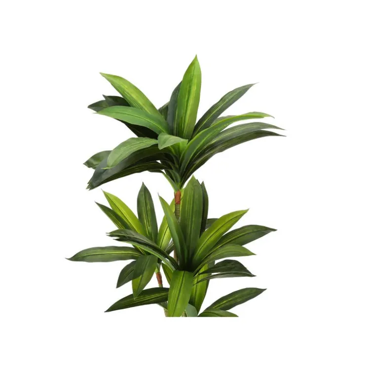 Monarch Artificial plant - 51"h / indoor dracaena in a 5" pot Green Hot
