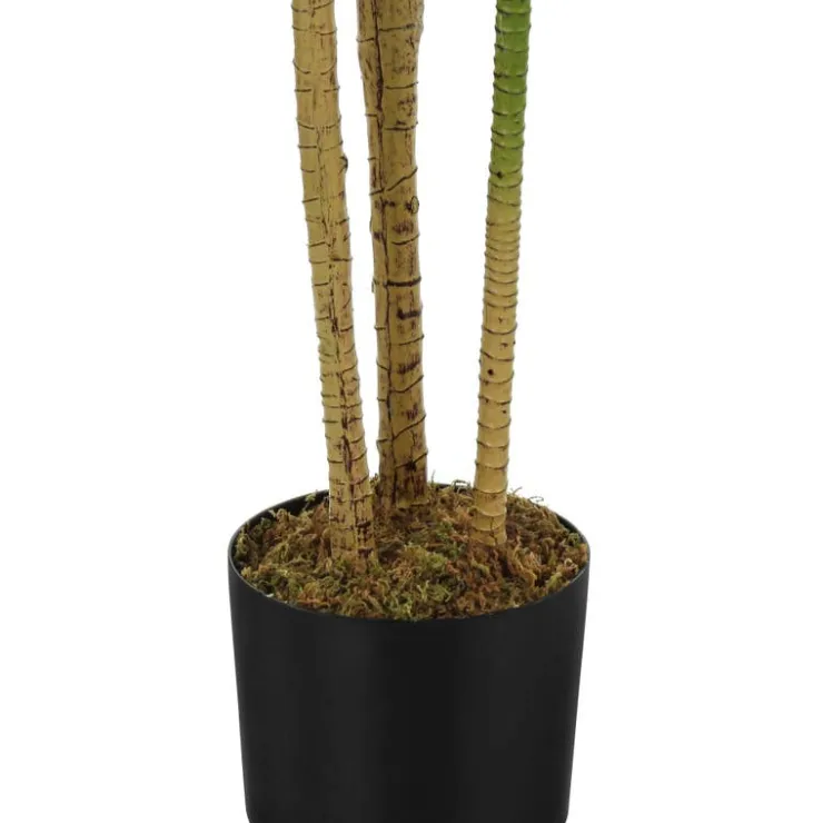 Monarch Artificial plant - 51"h / indoor dracaena in a 5" pot Green Hot