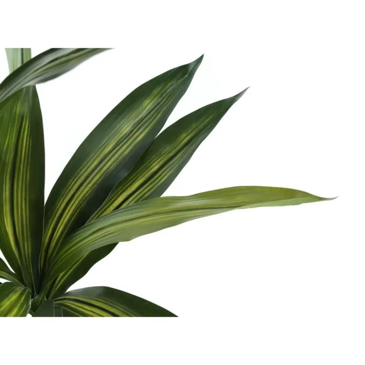 Monarch Artificial plant - 51"h / indoor dracaena in a 5" pot Green Hot