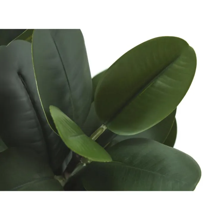 Monarch Artificial plant - 31"h / indoor garcinia in a 7" pot Green Hot