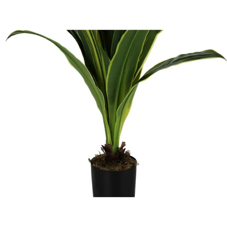 Monarch Artificial plant - 47"h / indoor dracaena in a 5" pot Green Hot