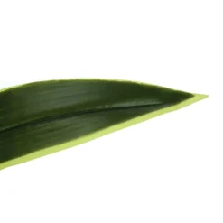 Monarch Artificial plant - 47