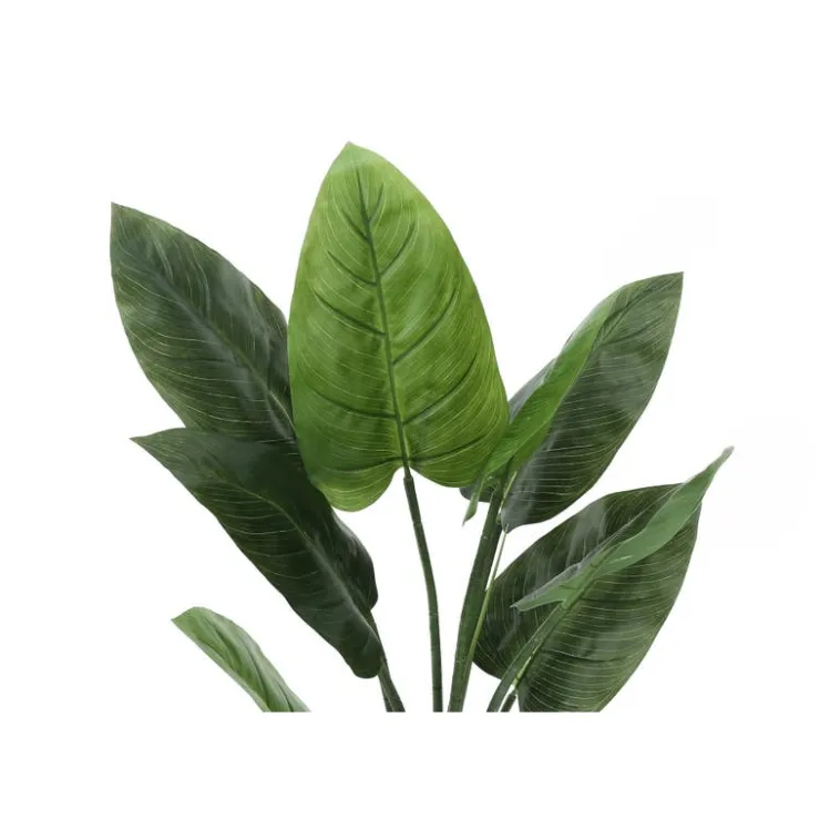 Monarch Artificial plant - 37"h / indoor aureum in a 6" pot Green Best