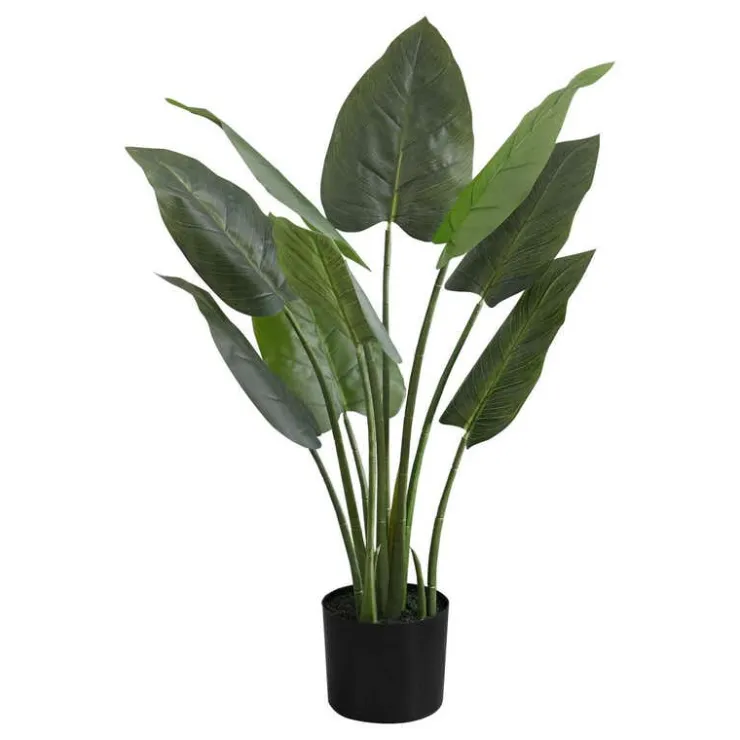 Monarch Artificial plant - 37"h / indoor aureum in a 6" pot Green Best