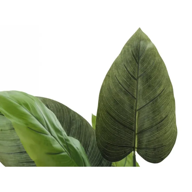 Monarch Artificial plant - 37"h / indoor aureum in a 6" pot Green Best