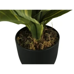 Monarch Artificial plant - 17"h / indoor dracaena in a 4" pot Green
