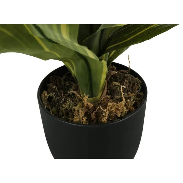 Monarch Artificial plant - 17"h / indoor dracaena in a 4" pot Green