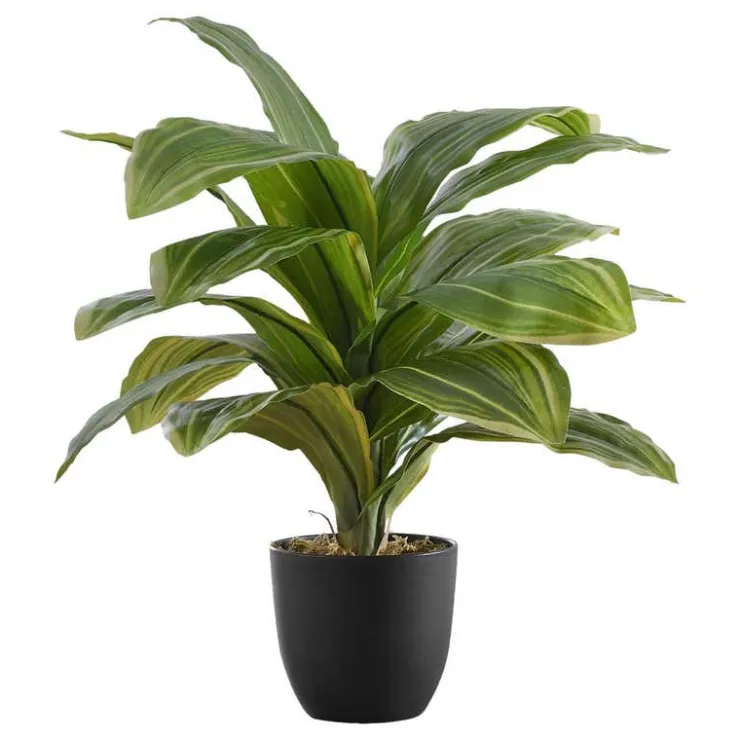 Monarch Artificial plant - 17"h / indoor dracaena in a 4" pot Green