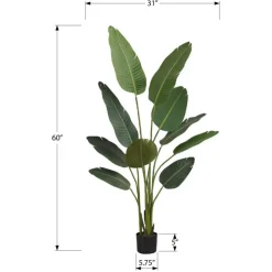 Monarch Artificial plant - 60"h / indoor bird of paradise 5" pot Green Hot