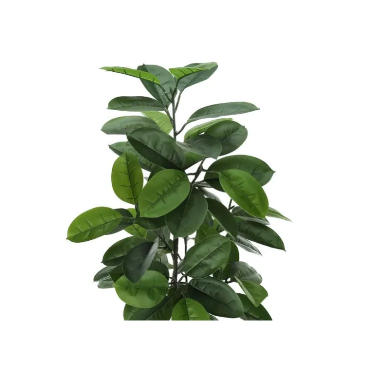 Monarch Artificial plant - 52"h / indoor rubber tree in a 5" pot Green Hot