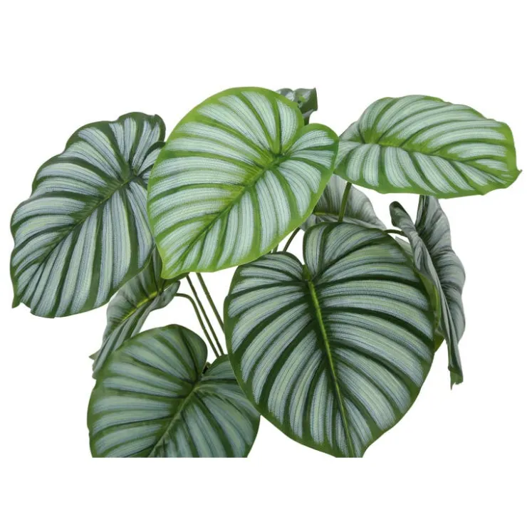Monarch Artificial plant - 24"h / indoor calathea in a 5" pot Green