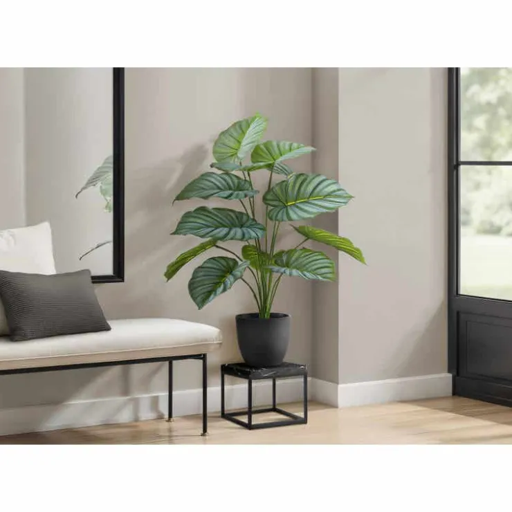 Monarch Artificial plant - 24"h / indoor calathea in a 5" pot Green