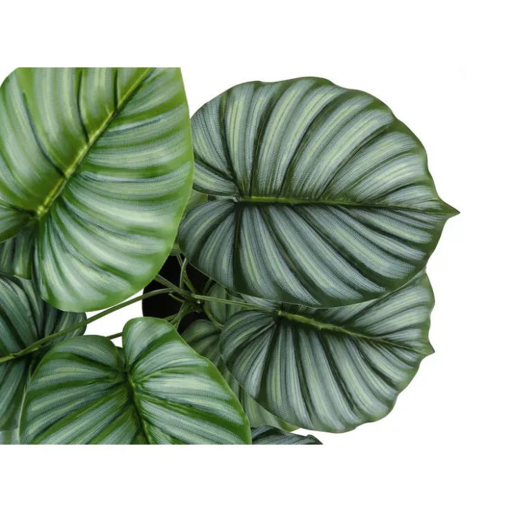 Monarch Artificial plant - 24"h / indoor calathea in a 5" pot Green