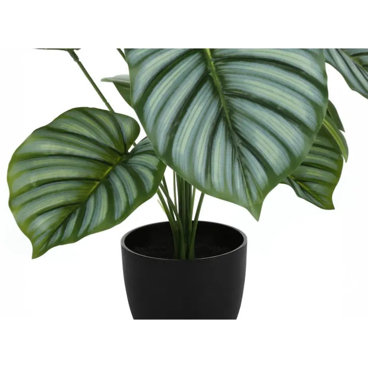 Monarch Artificial plant - 24"h / indoor calathea in a 5" pot Green