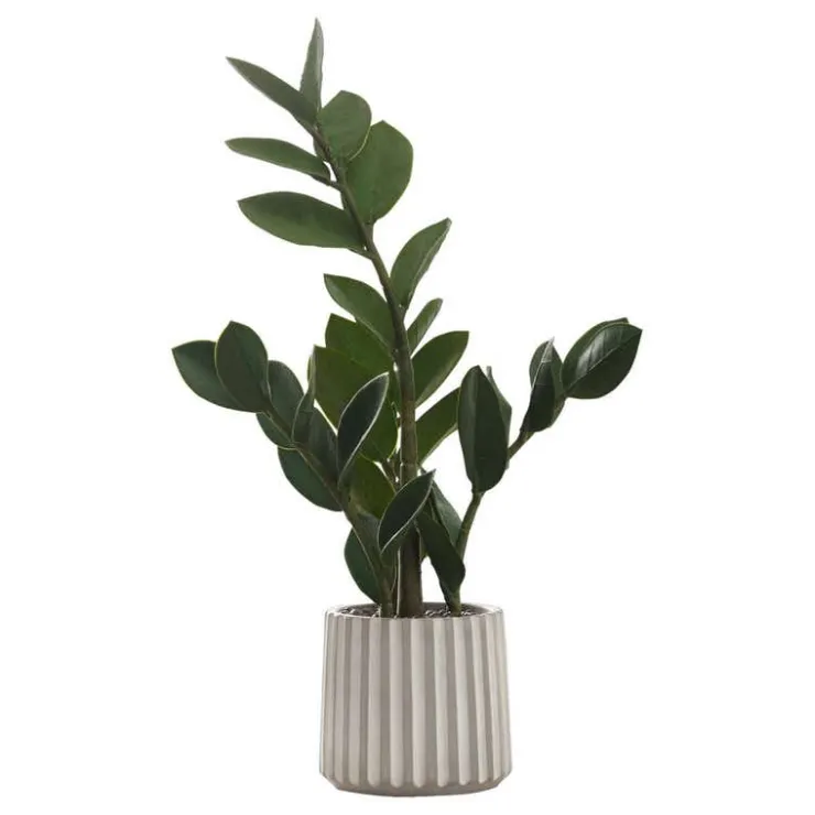 Monarch Artificial plant - 20"h / indoor zz in a 5" cement pot Green Clearance