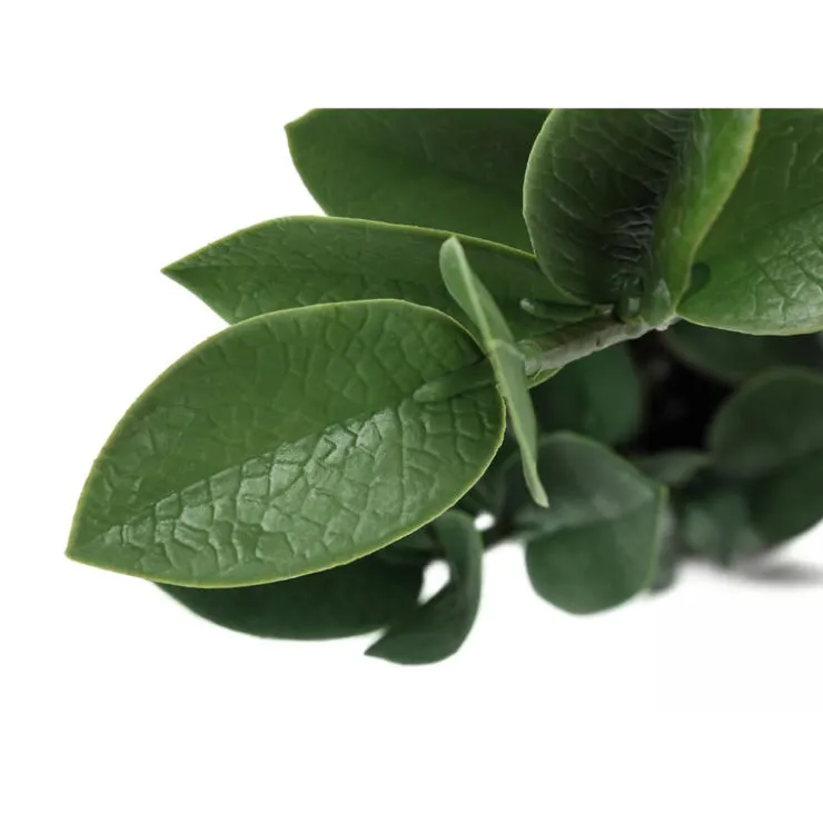 Monarch Artificial plant - 20"h / indoor zz in a 5" cement pot Green Clearance