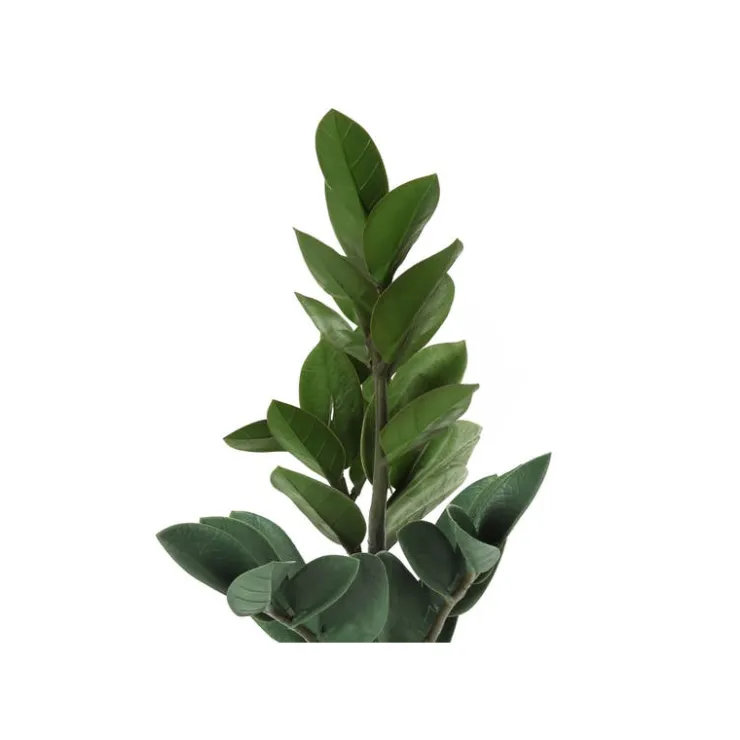 Monarch Artificial plant - 20"h / indoor zz in a 5" cement pot Green Clearance
