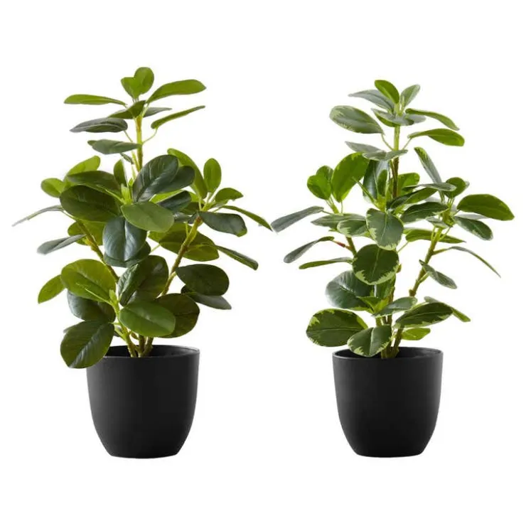 Monarch Artificial plant - 2pcs / 14"h ficus elastica in 4" pot Green New