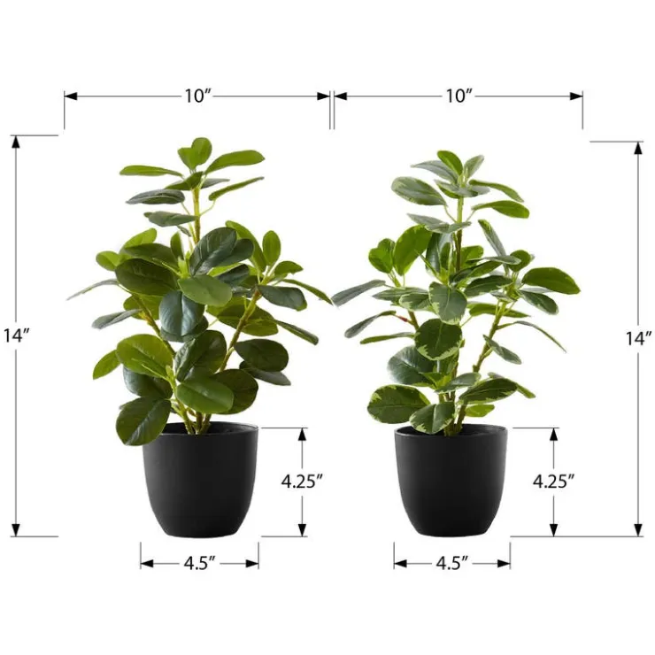 Monarch Artificial plant - 2pcs / 14"h ficus elastica in 4" pot Green New