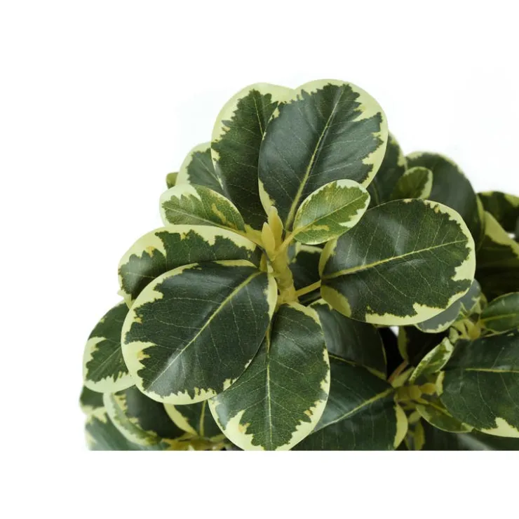 Monarch Artificial plant - 2pcs / 14"h ficus elastica in 4" pot Green New