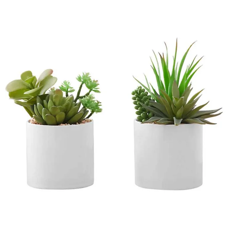 Monarch Artificial plant - 2pcs / 7"h succulent in 3" ceramic pot Green Sale