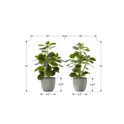 Monarch Artificial Plant 14