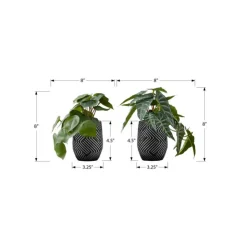 Monarch Artificial Plant 8