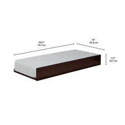 Brown Trundle Bed - 39" Expresso