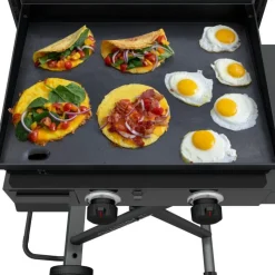 CHARBROIL 22 in Portable Propane Gas Griddle with Folding Cart and 2 Burners - 24 000 BTU Black Best