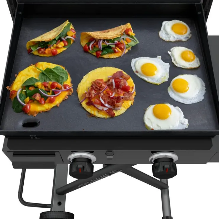 CHARBROIL 22 in Portable Propane Gas Griddle with Folding Cart and 2 Burners - 24 000 BTU Black Best