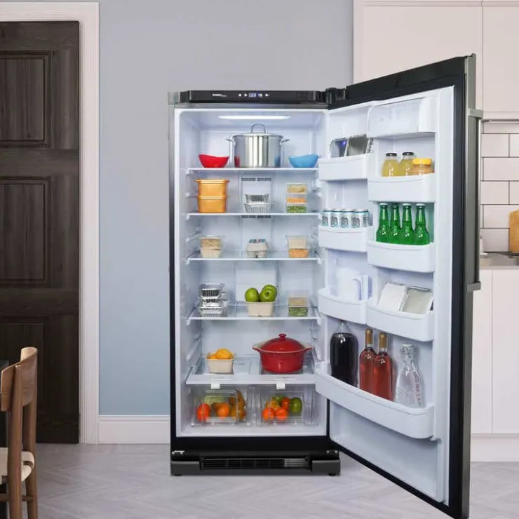 Danby 17 cu ft 30 In all refrigerator All refrigerator - DAR170A3BSLDD Stainless Sale