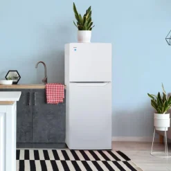 Danby 24 in 11 Cu ft Refrigerator Top Freezer - DFF116B2WDBR White New