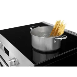Frigidaire Professional Range 30