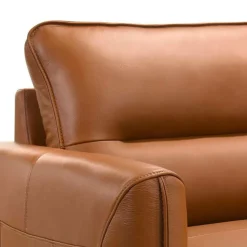 Genuine Full Leather Loveseat Brown Best