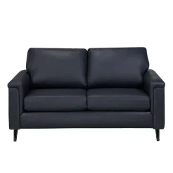 Sofa By Fancy Genuine Leather Loveseat - BLUE New