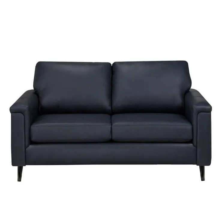 Sofa By Fancy Genuine Leather Loveseat - BLUE New