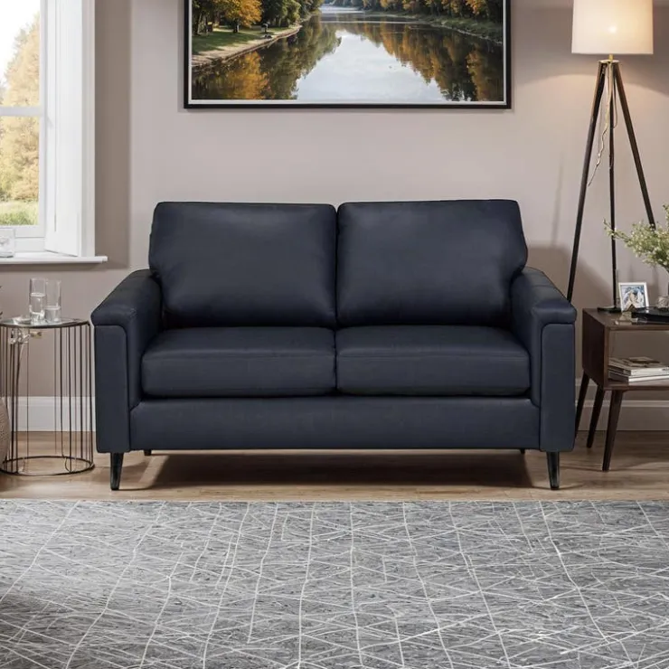 Sofa By Fancy Genuine Leather Loveseat - BLUE New