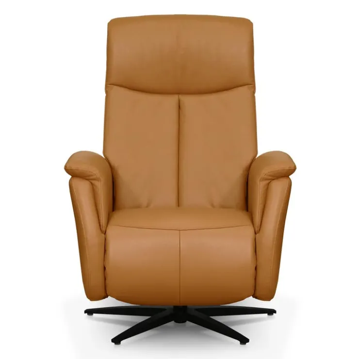 Genuine Leather Swivel Power Recliner - Tan Best