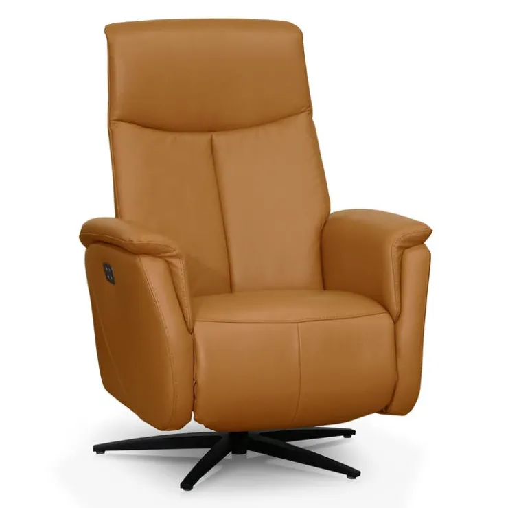 Genuine Leather Swivel Power Recliner - Tan Best