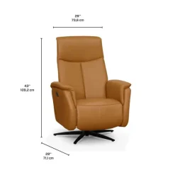 Genuine Leather Swivel Power Recliner - Tan Best