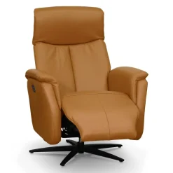 Genuine Leather Swivel Power Recliner - Tan Best