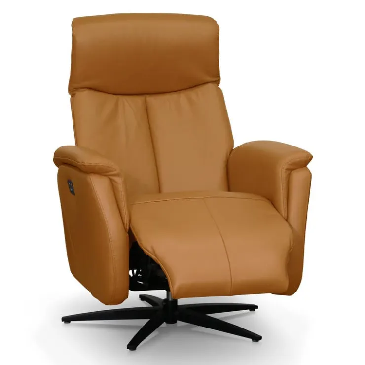 Genuine Leather Swivel Power Recliner - Tan Best